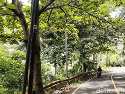 Cerita di Balik Situs Nyi Ronggeng Sabeulah di Jalan Cimerak-Cijulang