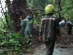 Tebing 15 Meter di Madiun Longsor, Akses ke Caruban Sempat Tertutup