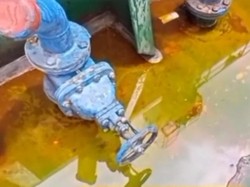 Kacau Sih! Minyak Goreng Satu Kapal Disebut Tumpah Ke Laut