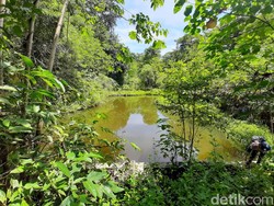 Hewan Ukraina Stres lalu Bunuh Diri, Pemandian Hits Kini Terbengkalai