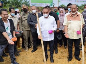 Ada Sentra Jagung Terpadu, Produksi Panen Petani Langkat Diharapkan Naik Ada Sentra Jagung Terpadu, Produksi Panen Petani Langkat Diharapkan Naik