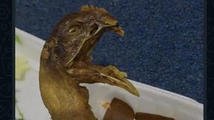 Apes! 10 Kejadian Momen Pesan Ayam Goreng Online Ini Berujung Nyesek