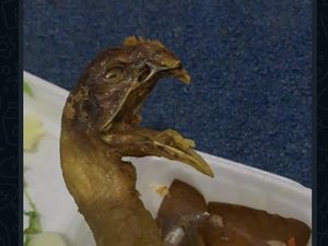 Apes! 10 Kejadian Momen Pesan Ayam Goreng Online Ini Berujung Nyesek Apes! 10 Kejadian Momen Pesan Ayam Goreng Online Ini Berujung Nyesek