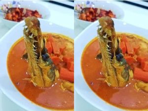 Heboh! Restoran Tawarkan Menu Kari Moncong Buaya, Ini Faktanya