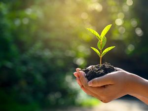 Sejarah Hari Habitat Sedunia yang Dimulai Tahun 1985