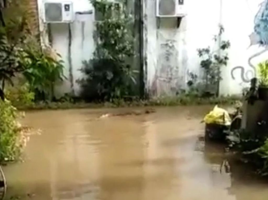 Buaya Teror Warga Saat Banjir Rendam Permukiman di Kutai Timur