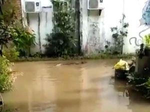 Buaya Teror Warga Saat Banjir Rendam Permukiman di Kutai Timur Buaya Teror Warga Saat Banjir Rendam Permukiman di Kutai Timur