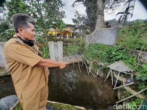 Pohon Kihujan di Tanjungkerta Hasilkan Mata Air yang Aliri Tiga Desa Pohon Kihujan di Tanjungkerta Hasilkan Mata Air yang Aliri Tiga Desa