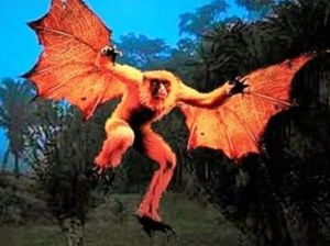 Legenda Orang Bati, Manusia Setengah Kelelawar yang Misterius Legenda Orang Bati, Manusia Setengah Kelelawar yang Misterius