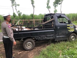 Pikap Terbalik di Bondowoso Tewaskan 7 Penumpang, Sopir Jadi Tersangka
