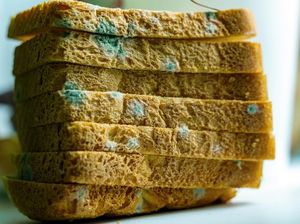 Roti Jamuran Tak Layak Konsumsi Meski Sudah Dipotong Jamurnya Roti Jamuran Tak Layak Konsumsi Meski Sudah Dipotong Jamurnya