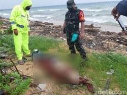 Mayat Tak Dikenal Ditemukan Warga di Pesisir Pulau Sapudi