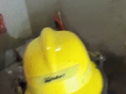 Hiii... Ular Kobra Muncul di Kloset Rumah Warga Majalengka