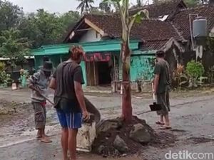 Warga Garum Blitar Tanam Pohon Pisang Protes Jalan Desa Rusak Warga Garum Blitar Tanam Pohon Pisang Protes Jalan Desa Rusak