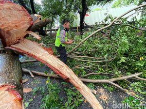 Bruuuk... Pohon di Bekasi Tumbang Gegara Angin Kencang
