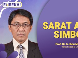 Fakta Ilmiah Babi Ngepet