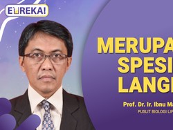 Kisah Naga Air, Mitos atau Fakta?