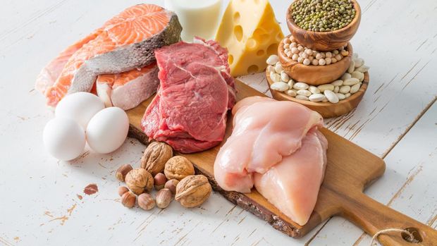 Makanan Tinggi Protein
