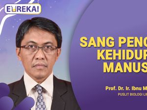 Mengenal Elang Jawa Sang Garuda Mengenal Elang Jawa Sang Garuda