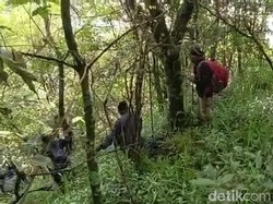 Pencarian Pendaki Hilang di Gunung Arjuno Masih Nihil, Personel Ditambah