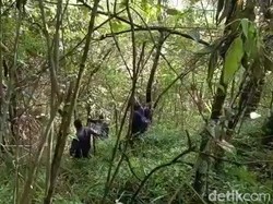 Hambatan Tim SAR Cari Pendaki yang Hilang di Gunung Arjuno