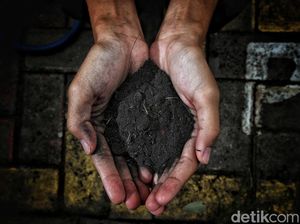 KCN Minta Perusahaan Lain Diinvestigasi soal Polusi Abu Batu Bara Marunda KCN Minta Perusahaan Lain Diinvestigasi soal Polusi Abu Batu Bara Marunda