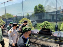 Kontes Bonsai Nasional 2022 Kota Probolinggo, Ada yang Ditawar Rp 500 Juta