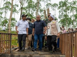 Kawasan Inti Pusat Pemerintahan di IKN Bakal Jadi 4 Zona, Ini Pembagiannya