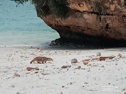 Mengupas Status Pantai Pasir Putih Pangandaran