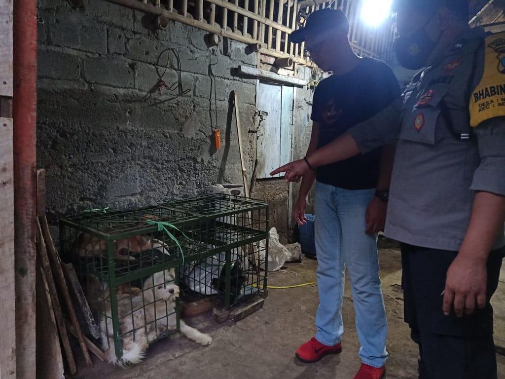 Pemkab Blitar Terbitkan SE Larangan Peredaran Daging Anjing dan Kucing