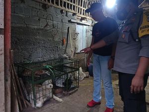 Pemkab Blitar Terbitkan SE Larangan Peredaran Daging Anjing dan Kucing Pemkab Blitar Terbitkan SE Larangan Peredaran Daging Anjing dan Kucing
