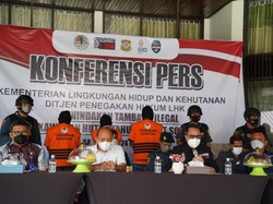 KLHK Tetapkan 3 Tersangka Penambang Batu Bara Ilegal di Wilayah IKN