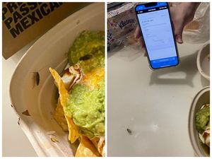 Duh! Pria Ini Temukan Anak Kecoa Keluar dari Makanan yang Baru Dibelinya