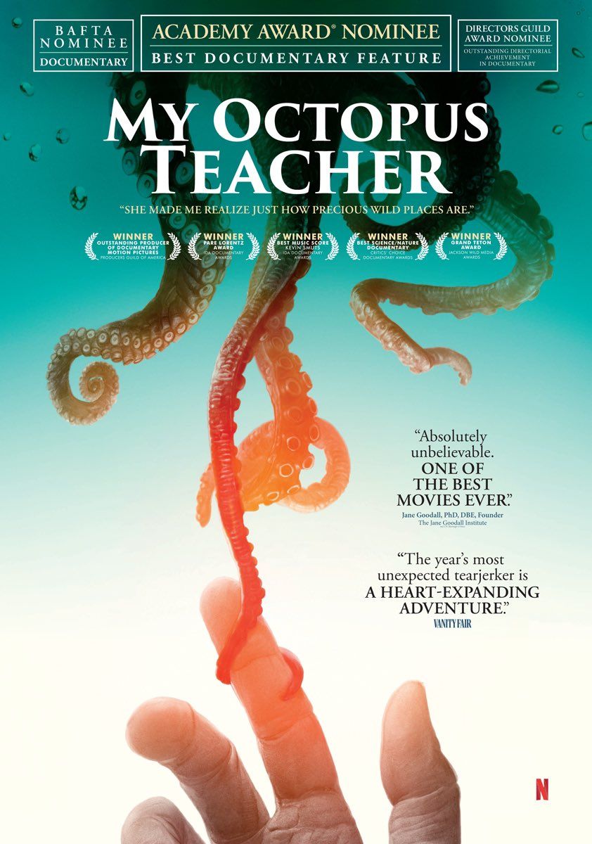 My Octopus Teacher