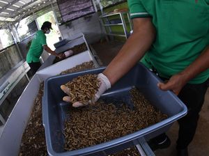 Upaya Mendorong Pengembangan Bank Wakaf Mikro Upaya Mendorong Pengembangan Bank Wakaf Mikro