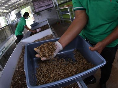 Upaya Mendorong Pengembangan Bank Wakaf Mikro