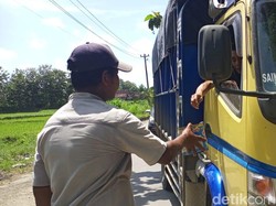 Ikut Bantu Atur Lalin Jalur Pantura yang Macet Parah, Warga Cuan Segini