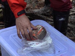 Penampakan Black Box Boeing 737-800 yang Jatuh di China Ditemukan!