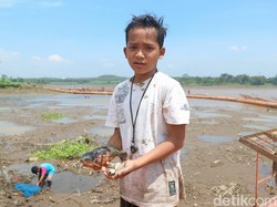 Warga Panen Ikan saat Waduk di Blitar Dikuras, Hasilnya Dimakan atau Dijual?