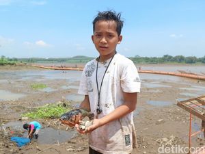Warga Panen Ikan saat Waduk di Blitar Dikuras, Hasilnya Dimakan atau Dijual? Warga Panen Ikan saat Waduk di Blitar Dikuras, Hasilnya Dimakan atau Dijual?