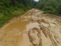 Jalan Rusak, Guru-Murid di Bengkulu Utara Jalan Kaki 20 Km ke Sekolah