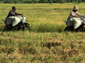 Sektor Pertanian RI Bisa Pakai Sistem Blockchain, Apa Untungnya?