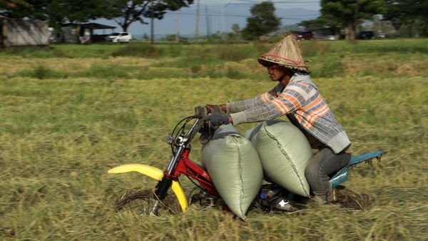 Ada Jasa Ojek Pertanian Lho di Takalar