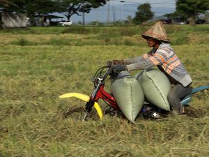 Ada Jasa Ojek Pertanian Lho di Takalar
