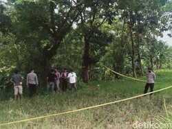 Ini Ciri-ciri Mayat Wanita Telanjang yang Ditemukan di Sawah Klaten