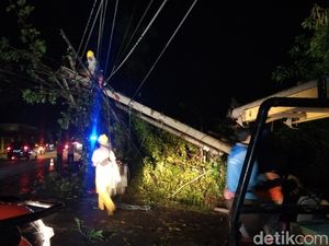 Pohon Beringin di Majalengka Tumbang, Arus Lalin-Listrik Terganggu
