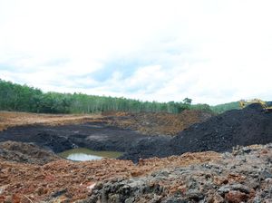 Penambang Ilegal Ditangkap Lagi di IKN, Ngaku Dibekingi Pangdam-Kapolda