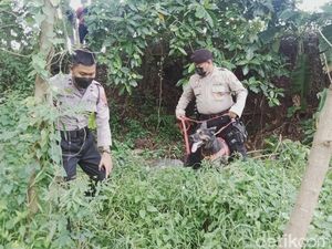 Identitas Mayat Wanita Telanjang di Sawah Klaten Terungkap