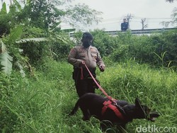 Anjing Pelacak Sisir TKP Mayat Wanita Misterius di Klaten, Apa Hasilnya?
