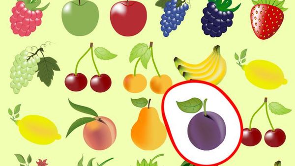 Uji Seberapa Cepat Otak dan Mata Menemukan Objek Tak Sepasang, Berani?